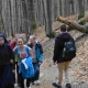 bieszczady_maj12