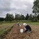 IMG-20260915-WA0041